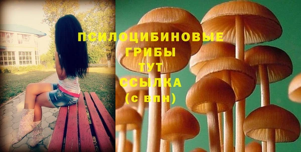 прущая мука Абинск
