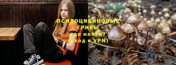прущая мука Абинск