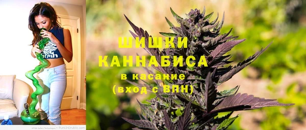 spice Ладушкин