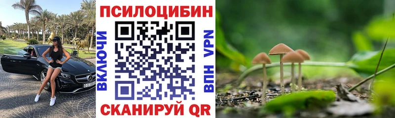 Галлюциногенные грибы Magic Shrooms Уржум